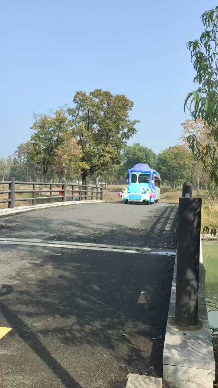 视频