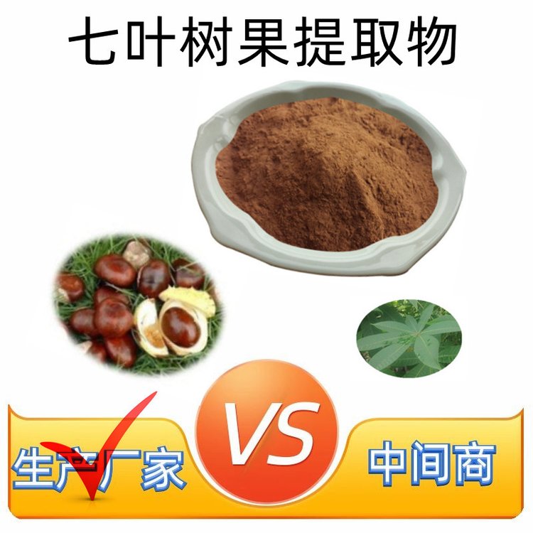 七叶树果提取物 水提浓缩 植物萃取 斯诺特 浓缩 娑罗果粉