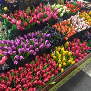 爱上浪漫花卉