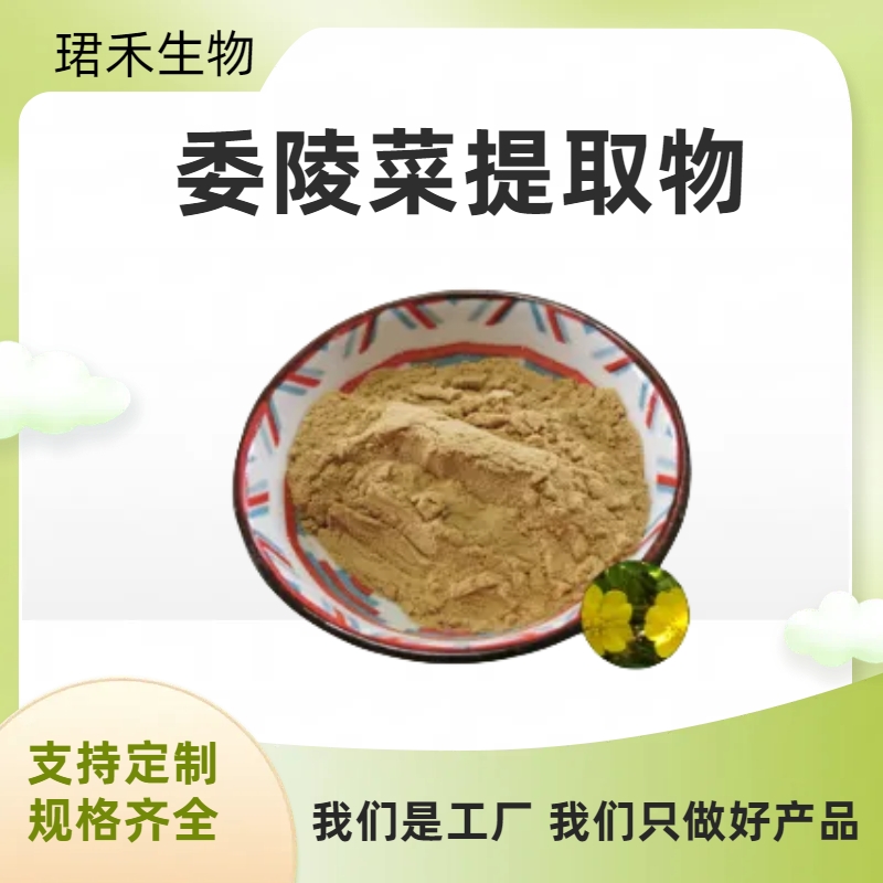 委陵菜提取物 浓缩萃取 水溶委陵菜粉 食品级原料 规格齐全