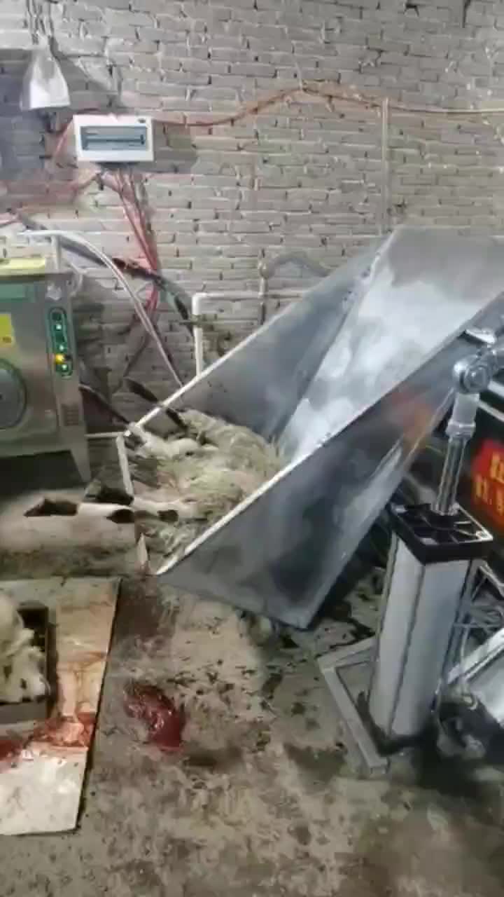 视频