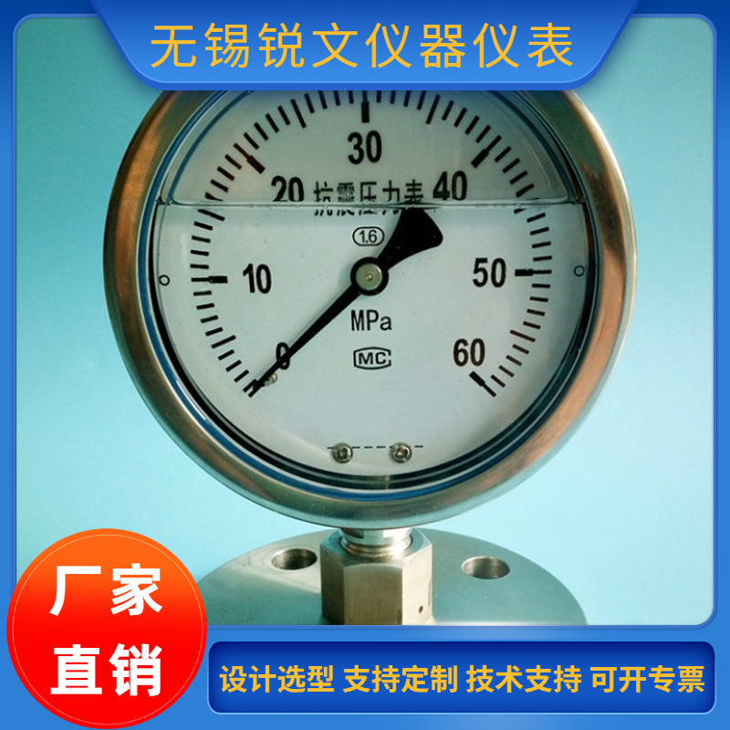 锐文耐震压力表yn60液压油压气压测水压表1.6防抗震不锈钢高精度