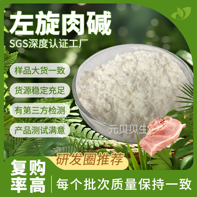 行业精选源头工厂左旋肉碱粉99%现货原料L-肉碱散装批发左旋肉碱