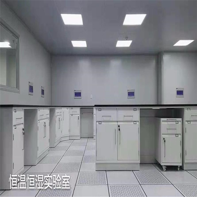 LUMI 食品安全检测步入式恒温恒湿实验室 温速度快速平稳