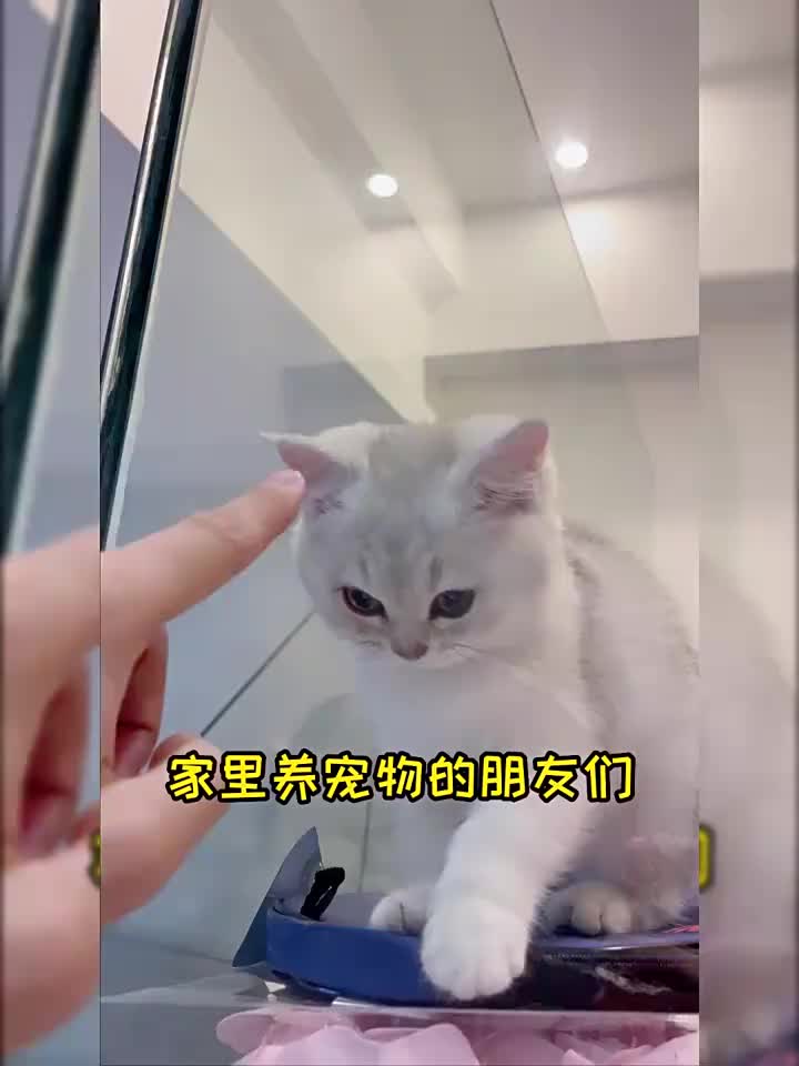 视频