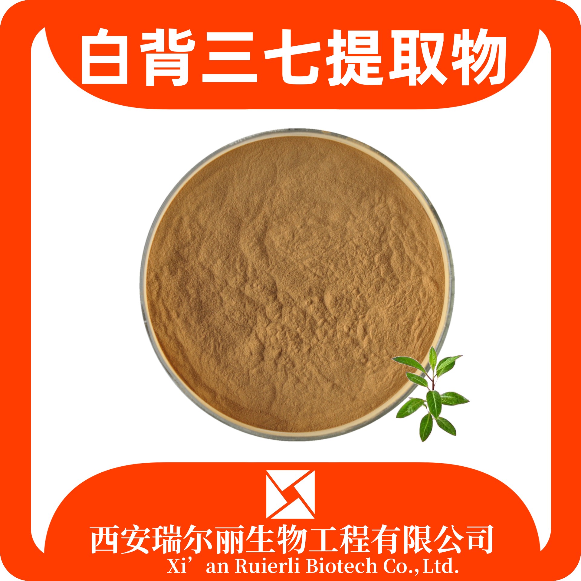白背三七提取物10:1 水溶 白籽菜粉 食品级原料 瑞尔丽生物 源头厂家