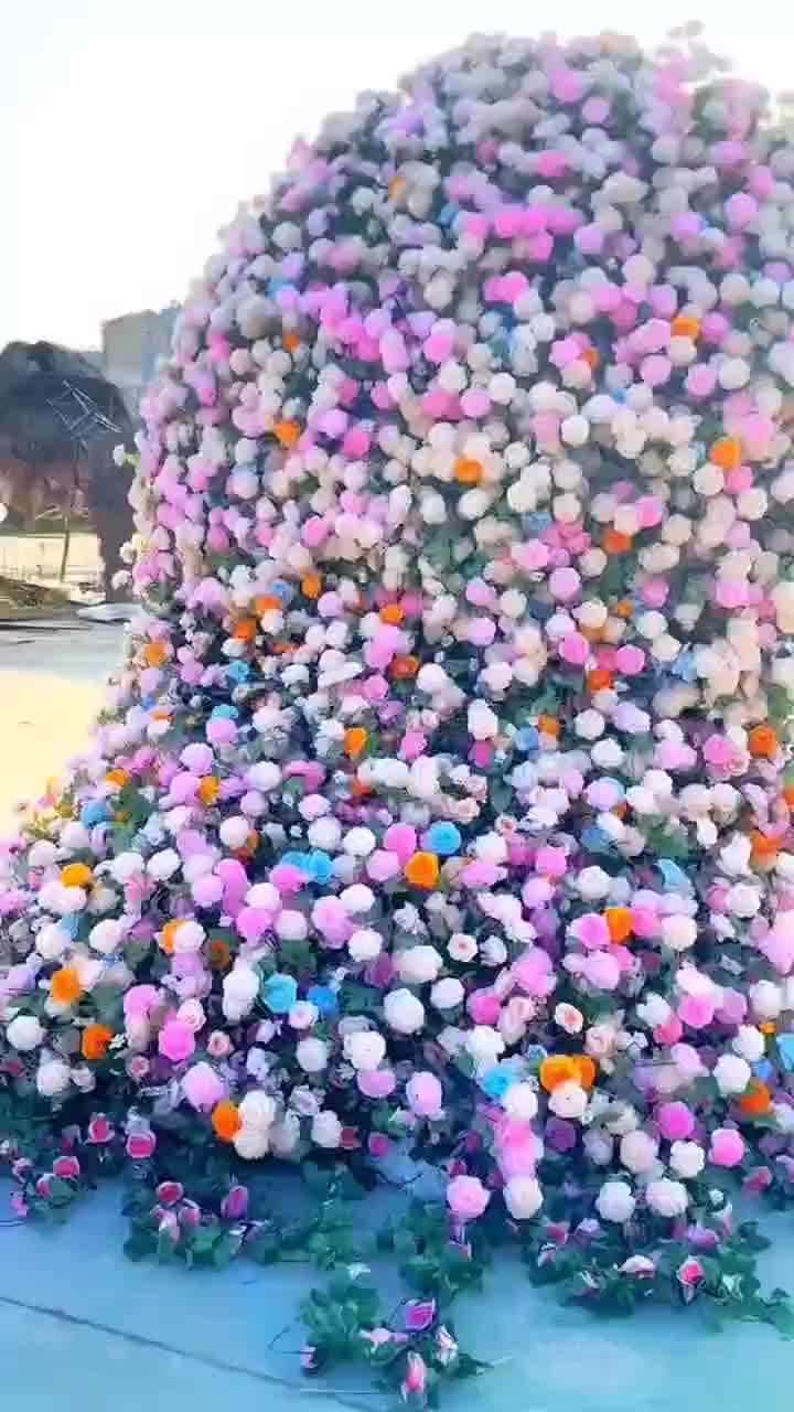 视频