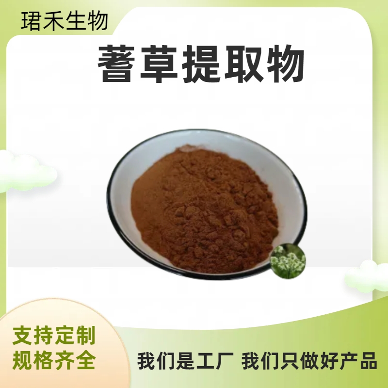 蓍草提取物 水溶蓍草粉 浸膏粉 植物提取 固体饮料原料 多规格可定制