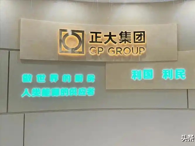 正大集团