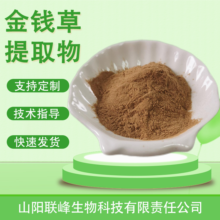 金钱草提取物 含黄酮 浓缩浸膏粉 过路黄粉 喷雾干燥 多规格
