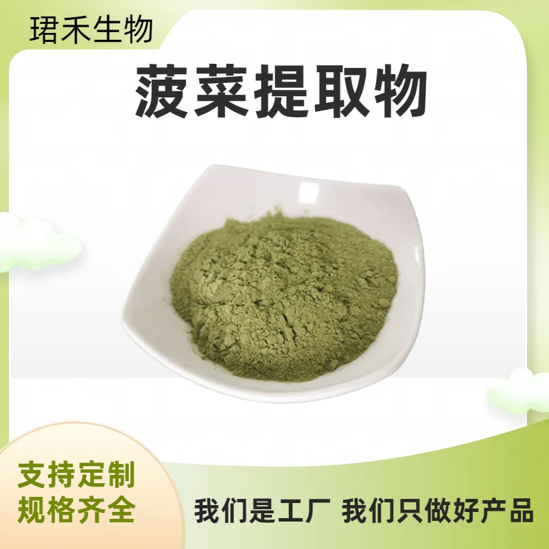 菠菜提取物 速溶菠菜浓缩粉 新鲜原料 喷雾干燥工艺 多规格可定制
