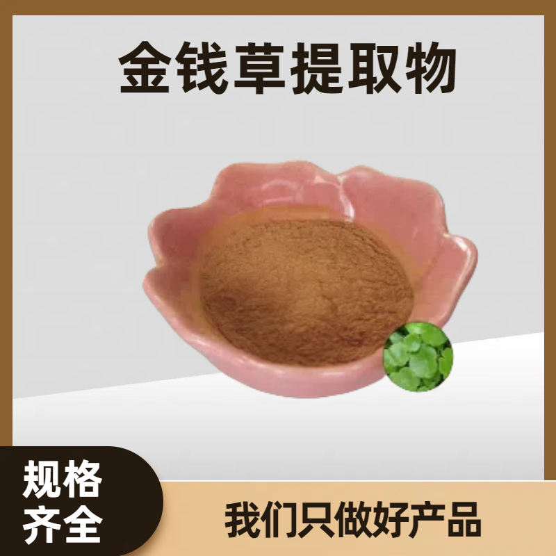 金钱草提取物 含黄酮 比例浓缩 喷雾干燥 多规格可定制
