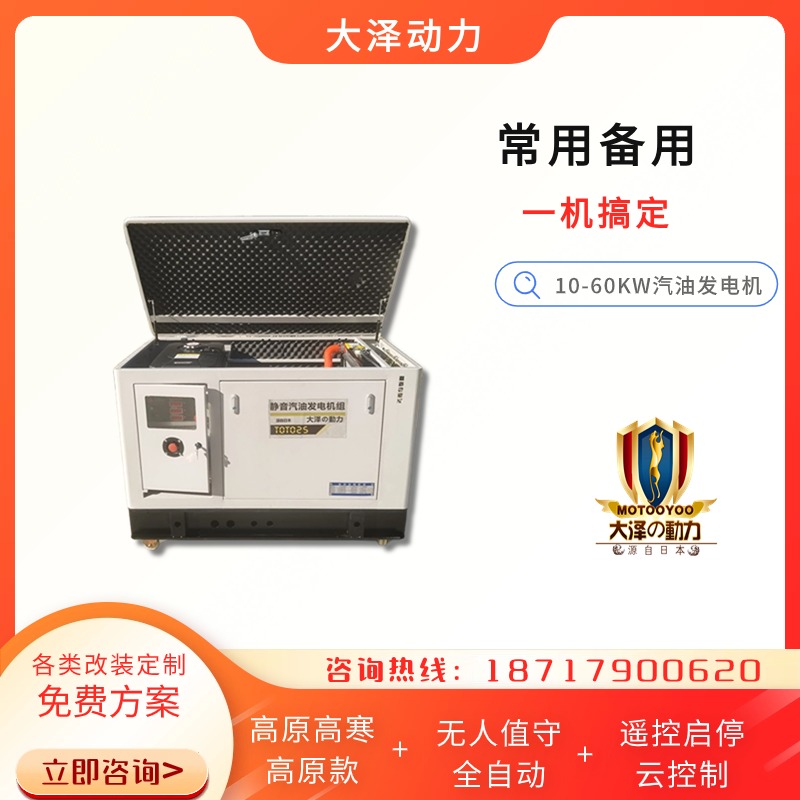 大泽动力30KW汽油发电机 四缸 多燃料 静音箱体式 低噪音 TOTO30-Z