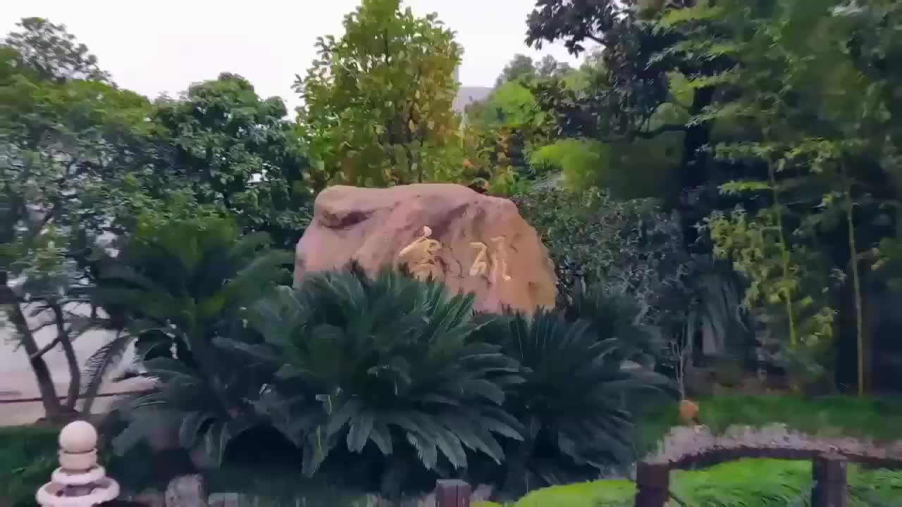 视频