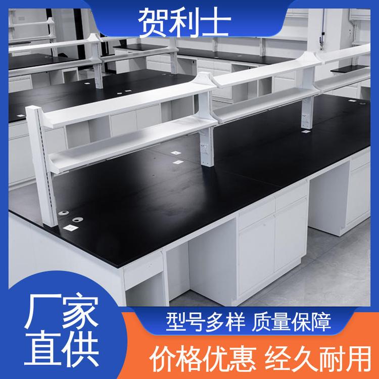 贺利士 规模生产 支持定制 耐高温 全钢实验室 性能优越