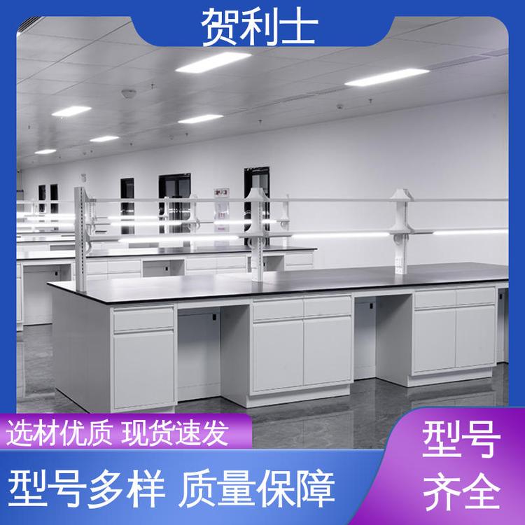 贺利士 检测机构专用 耐高温 匠心优选 多年经验 全钢中央工作实验台