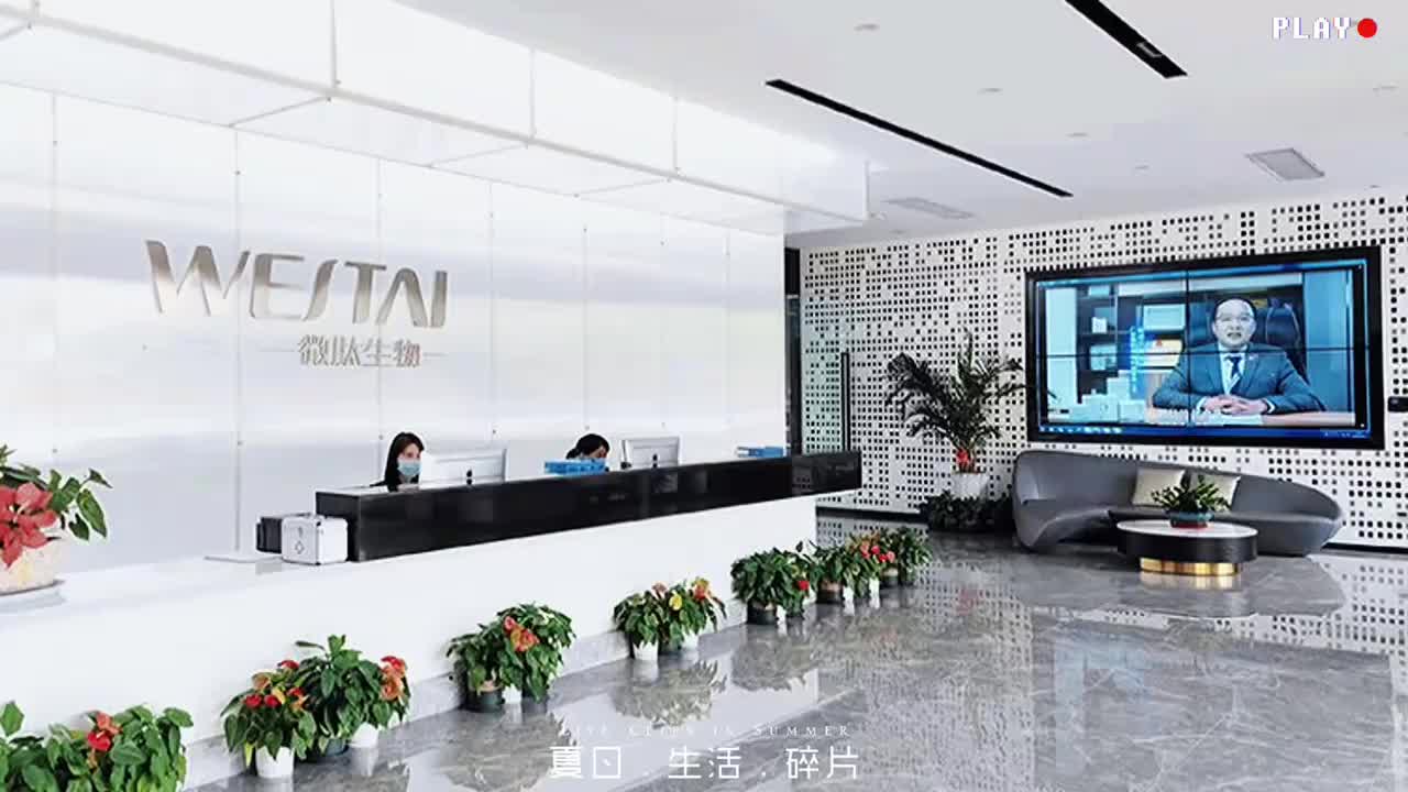 视频