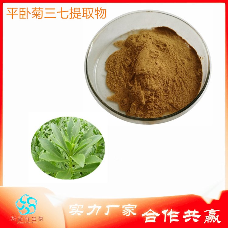 斯诺特 平卧菊三七提取物 精细粉末 十余年生产经验