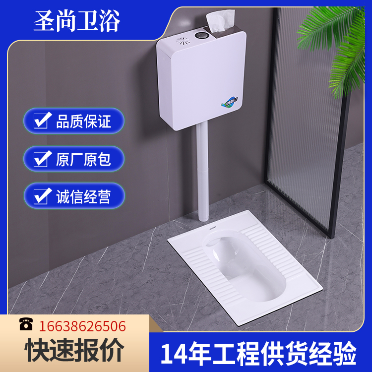 家用卫生间脚踏式带存水弯蹲便器 承接工程 支持定制 圣尚卫浴