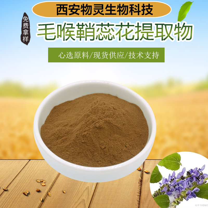 毛喉鞘蕊花提取物 水溶性花粉 毛喉素 浓缩干燥 植物萃取 物灵生物 SC证
