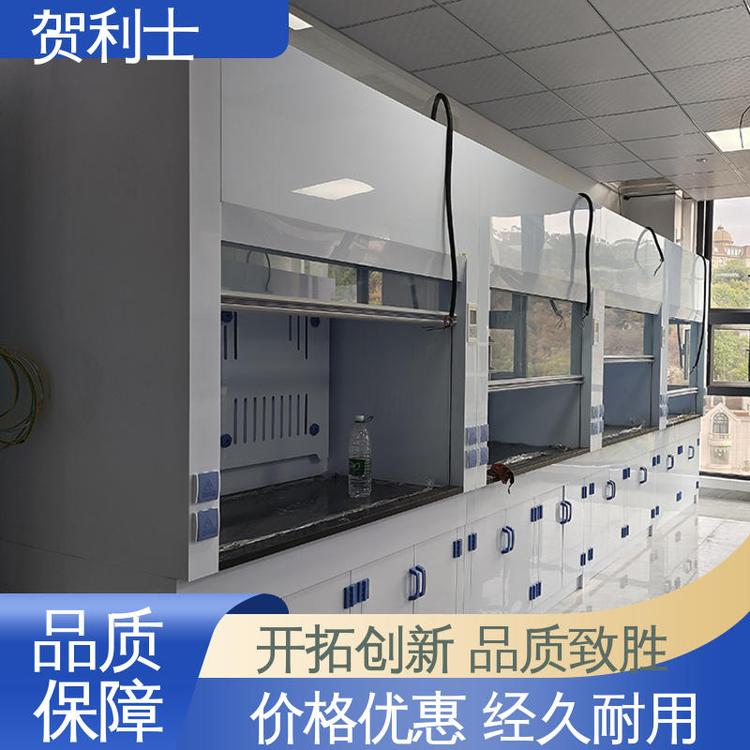 贺利士 品类齐全 质量保障 防尘防静电 耐高温 实验室通风柜