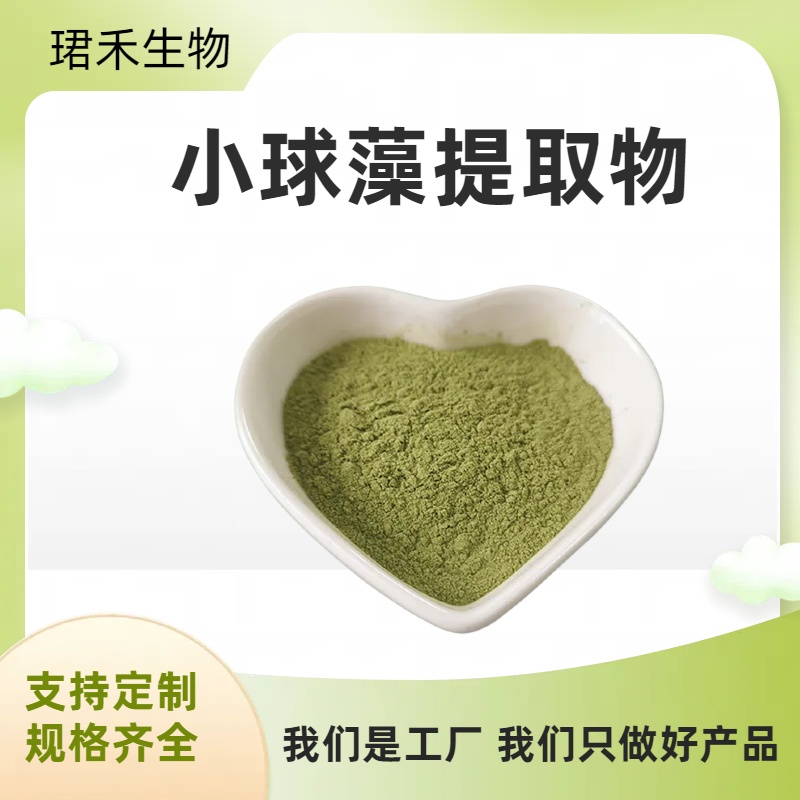 小球藻提取物 破壁蛋白核球藻粉 食品原料工厂 溶解性好 多规格可定制