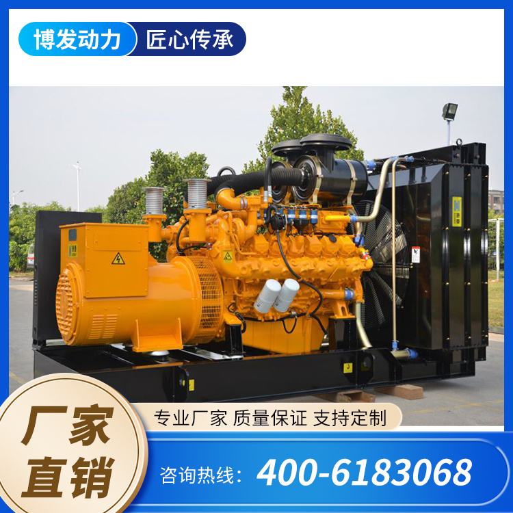 100 200 300kw燃气发电机组 沼气天然气秸秆气发电 节能环保