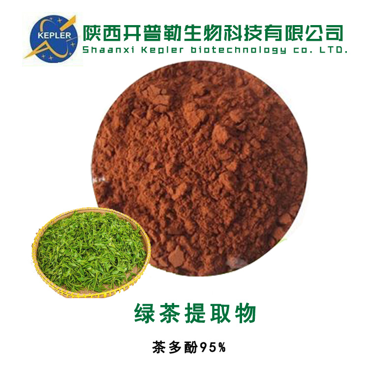 绿茶提取物 绿茶粉 茶多酚95% KPL-0029 样品支持 资质支持