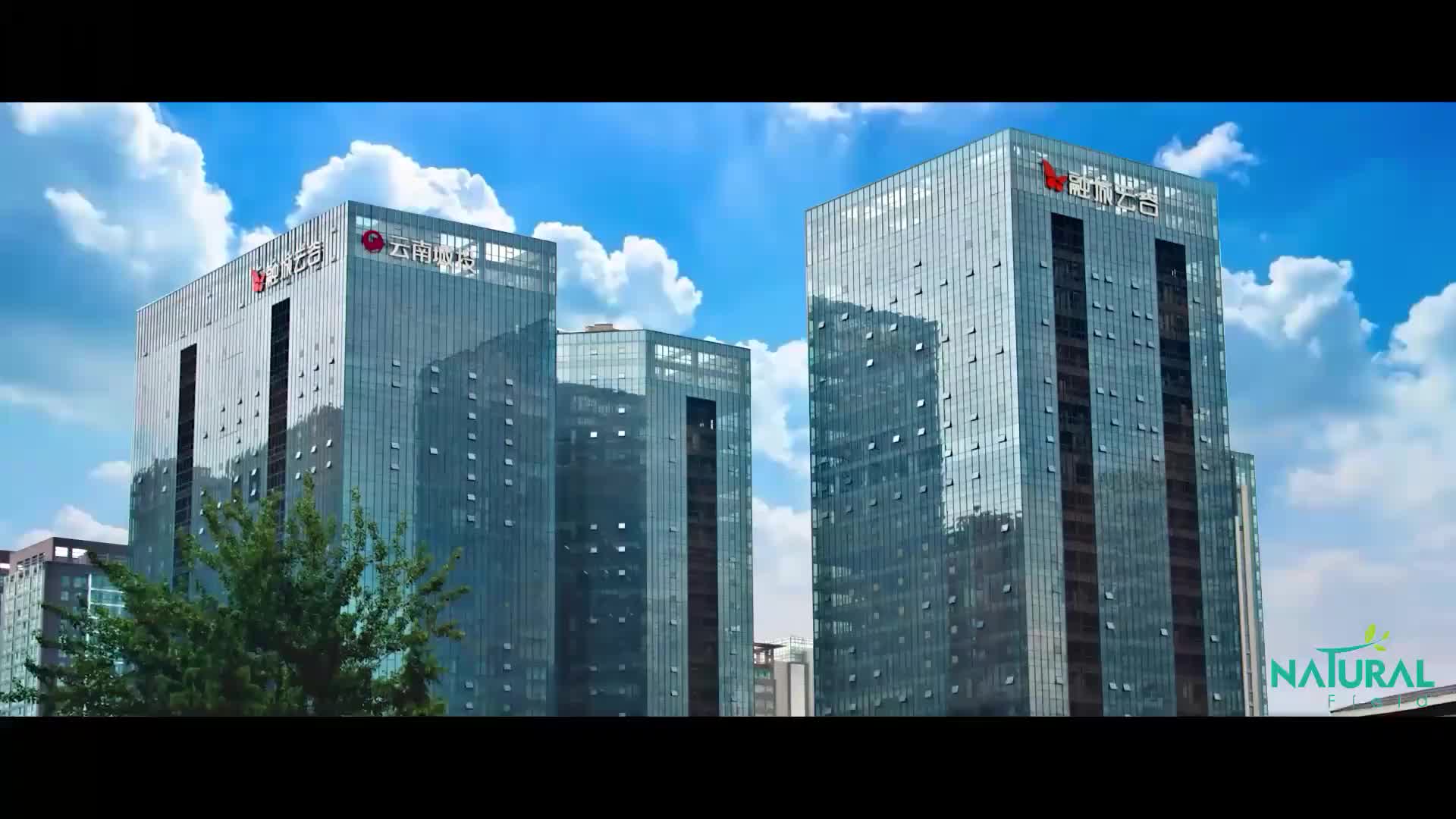 视频