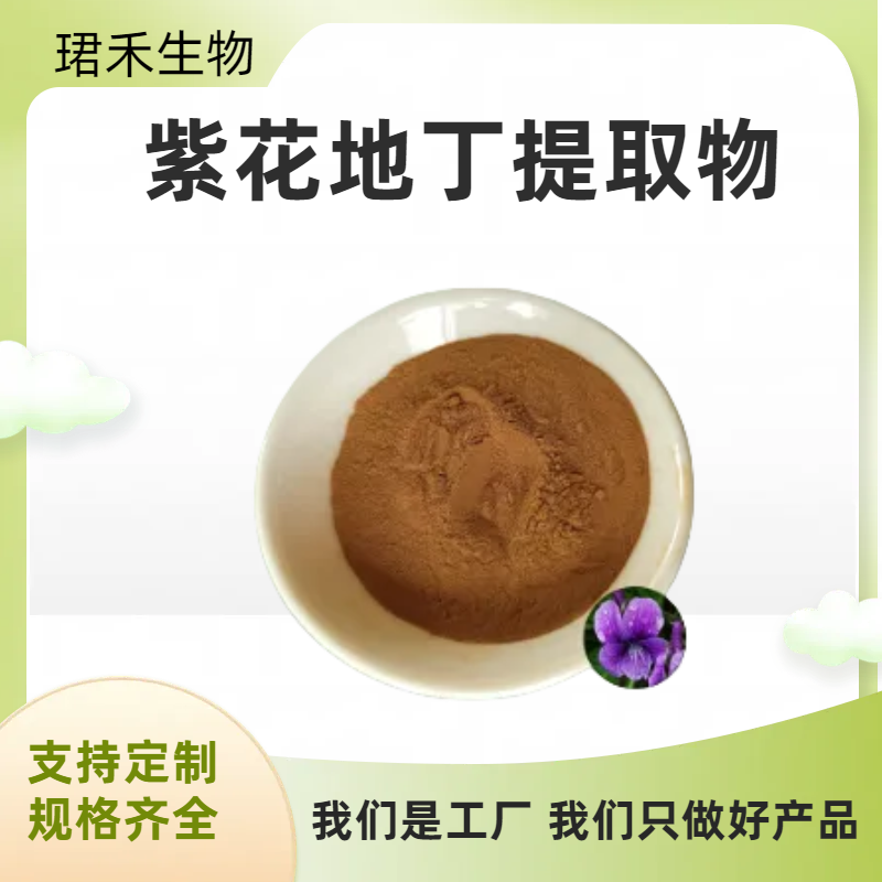 食品级紫花地丁提取物 水溶性紫花地丁粉 水提喷雾干燥 可定制