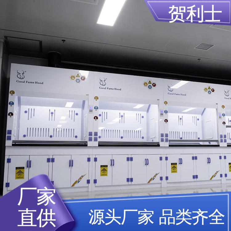 保质保量 精致打造 硬度强 防尘防静电 PP净气型通风柜 贺利士