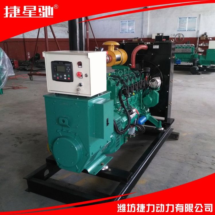 50KW 柴油 天然气 沼气 发电机组厂家 静音箱 集装箱 方舱电站