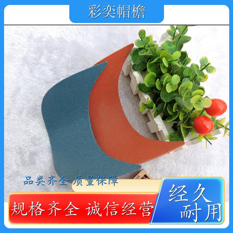 彩奕帽檐批发 各种棒球帽帽沿 不易折断 成人帽子配件 库存充足