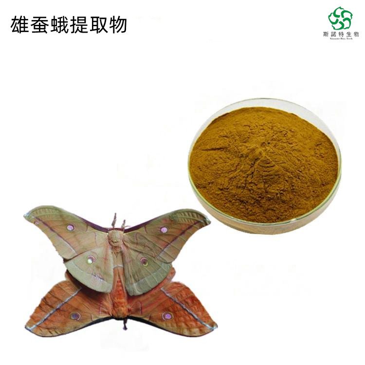 雄蚕蛾提取物 浓缩 天蛾粉 斯诺特 Male Silk moth Extract