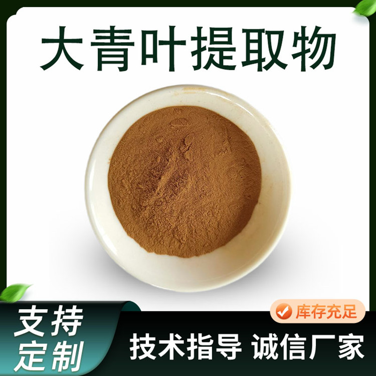 大青叶提取物 10:1菘蓝浓缩粉 喷雾干燥萃取原料 多种规格
