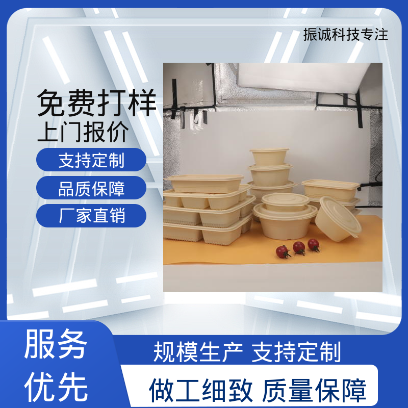 一次性打包盒 加厚 家庭套装 儿童带餐便携环保 振诚科技