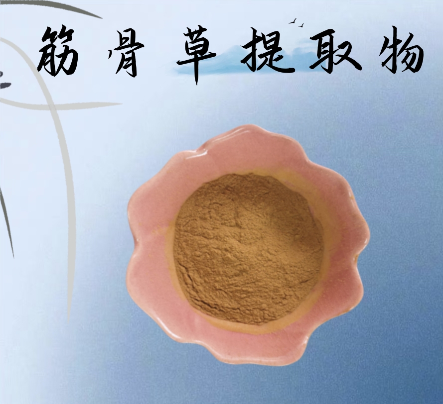 水溶伸筋草提取物 食品级原料10:1 含土克甾酮 石松浸膏粉 植提厂家