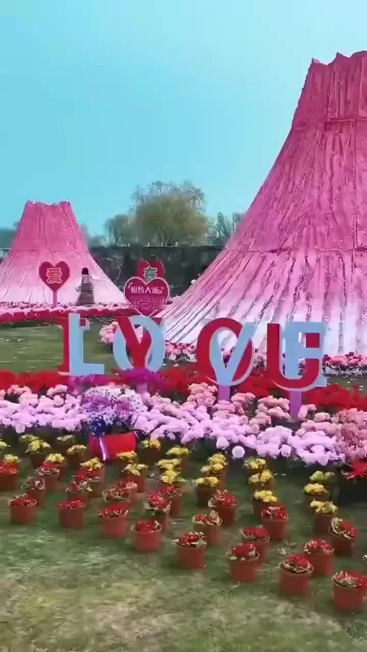 视频