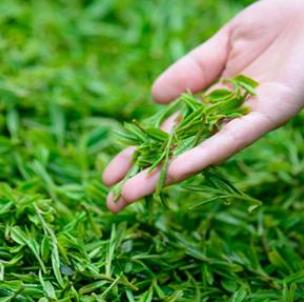 鑫悦茶楼