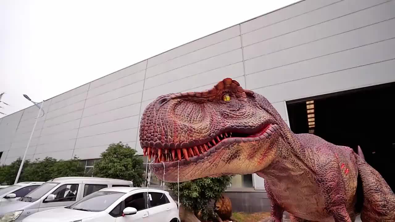 视频