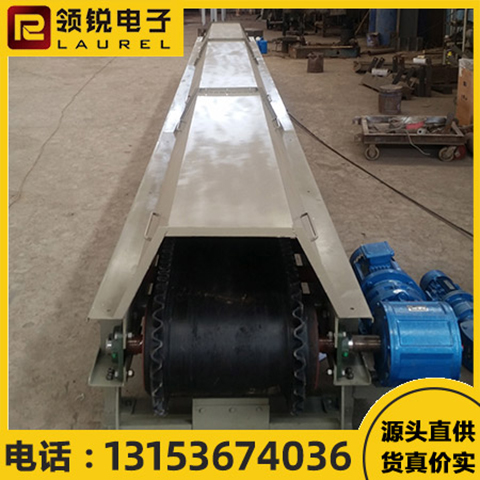 皮带输送机 智能自动化计量 支持定制 领锐电子 LR-100