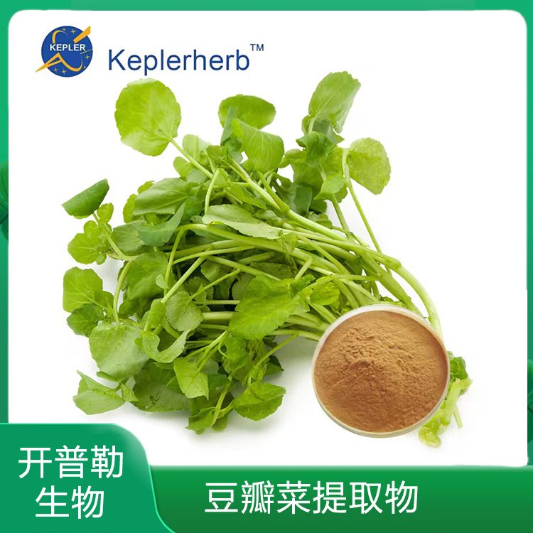 豆瓣菜提取物 速溶豆瓣菜粉 水田芥提取 豆瓣菜苷
