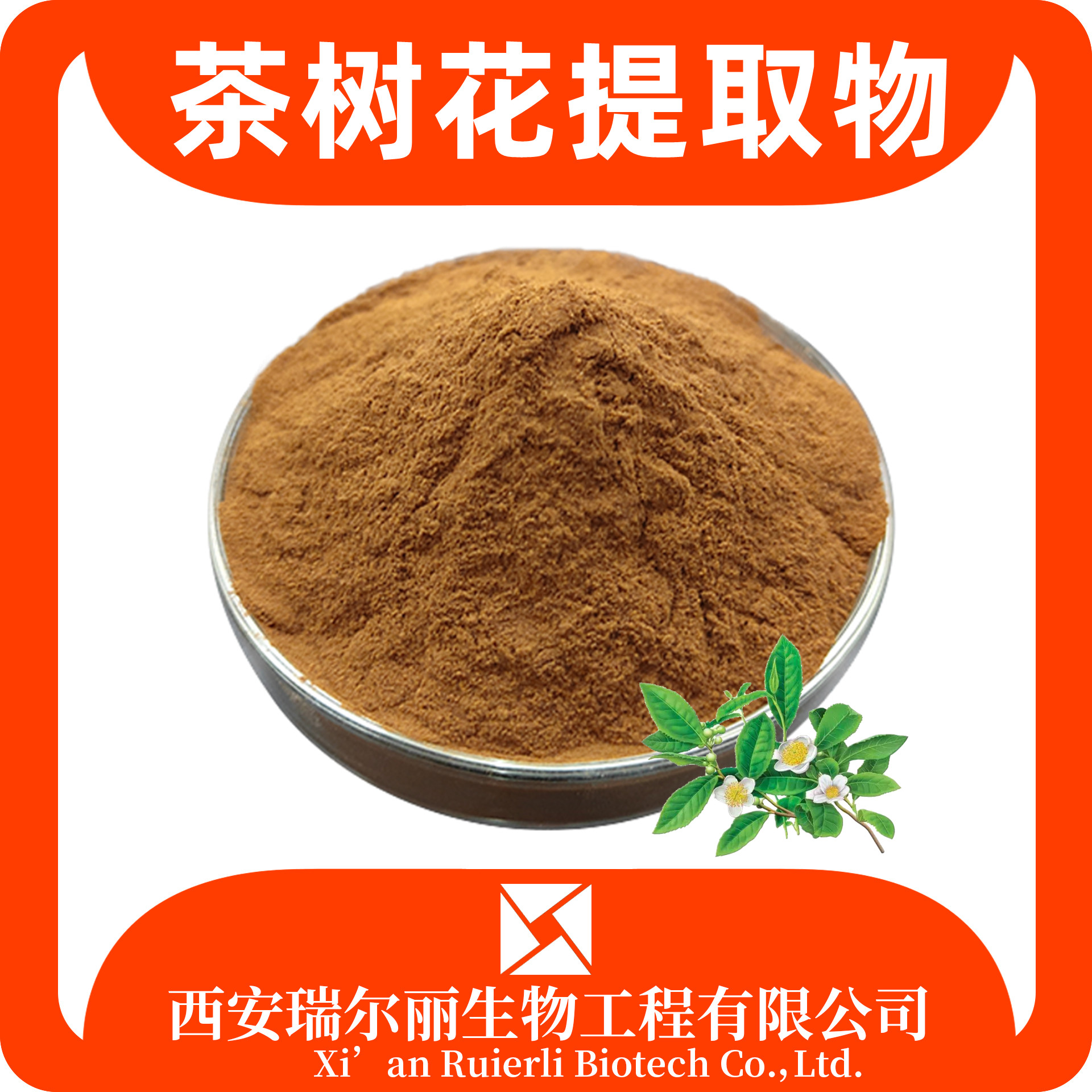 茶树花提取物 水溶茶树花粉 速溶浓缩粉 SC证 浸膏粉 源头工厂