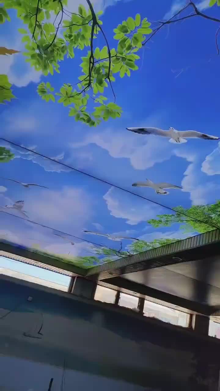 视频