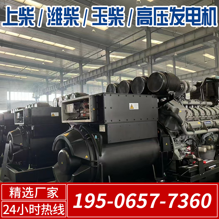 200kw上柴发电机组厂家 组装简单快捷 性价比高 提供使用指导