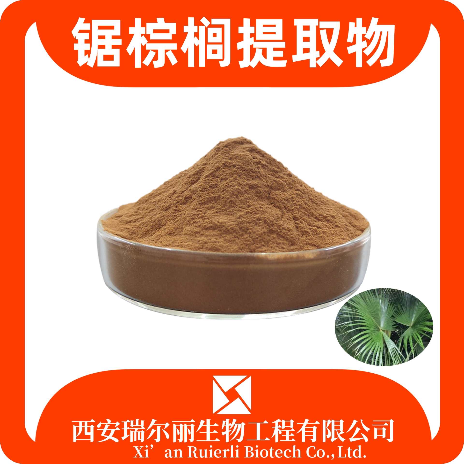 锯棕榈提取物10：1 锯叶棕油酸 速溶浓缩 瑞尔丽生物 源头厂家