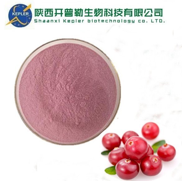 水溶性蔓越莓果粉 蔓越莓提取物 花青素1%-25% KPL-0034