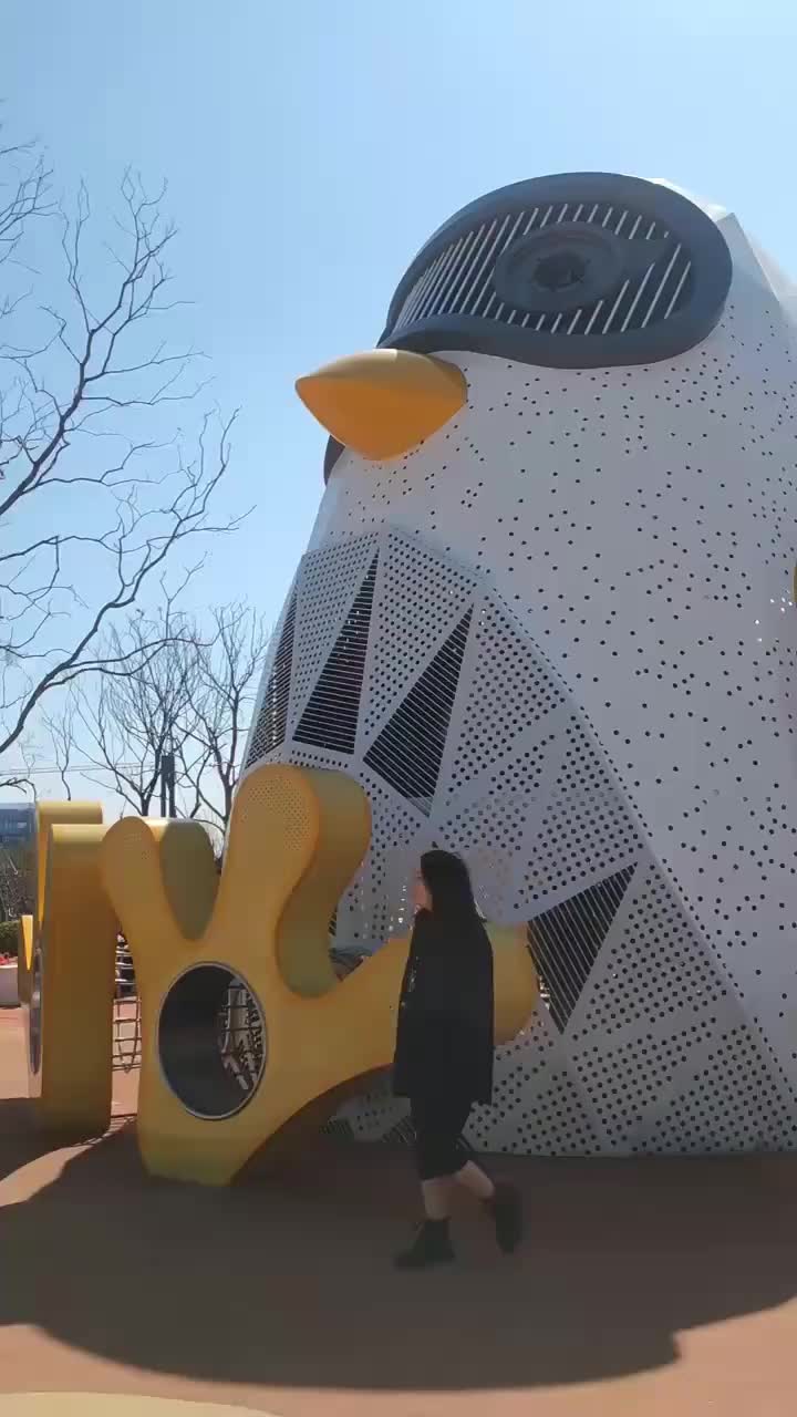 视频