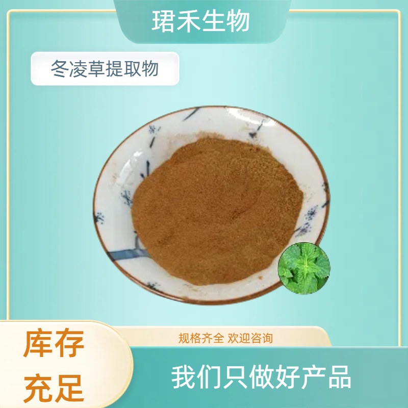 冬凌草提取物 含多糖 水溶性浓缩粉 规格可定制 喷雾干燥工艺