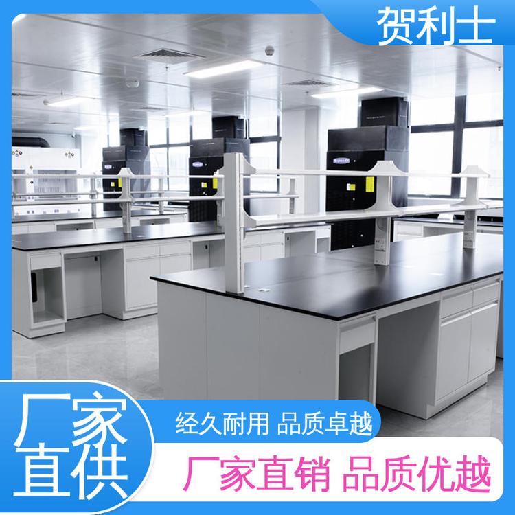 贺利士 耐高温 保质保量 精致打造 检测机构专用 全钢实验家具